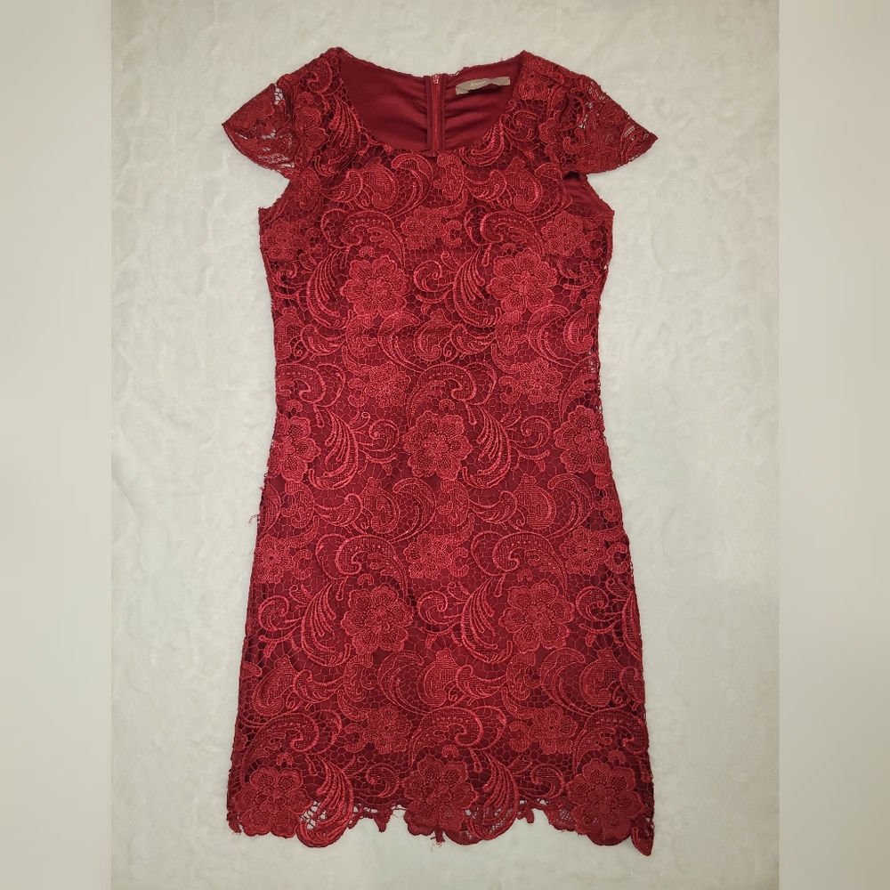 A/wear red lace dress 10UK/38EUR (ASOS) 4/6